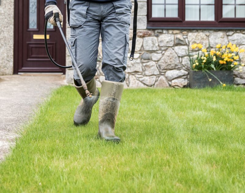 Hardscape Construction
